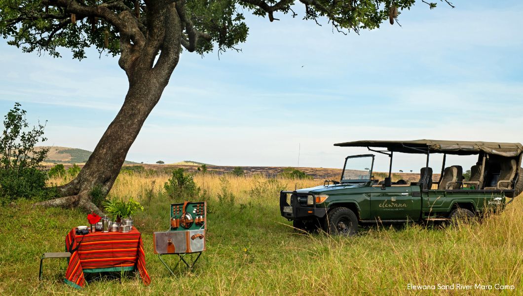 Bush Picnic